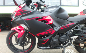 KAWASAKI Ninja 250 ABS EX250P