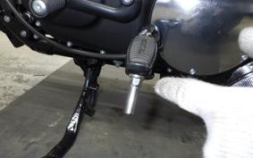 HARLEY XL883N 2021