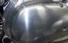 KAWASAKI W800 2024 EJ800E