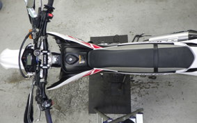 YAMAHA WR250R 2021 DG15J