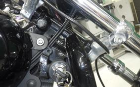 HARLEY XL883LI 2015