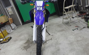 YAMAHA WR250R 2015 DG15J