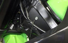 KAWASAKI KLX250D TRACKER X 2017 LX250V