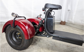 HONDA  BLAZE EV TRIKE  DMJC