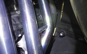 KAWASAKI NINJA 1000SX 2024 ZXT02K
