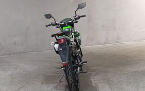 KAWASAKI D-TRACKERX LX250V