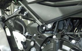 KAWASAKI Z250 Gen.2 EX250P