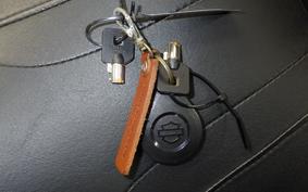 HARLEY FLHXS 1870 2024