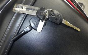 KAWASAKI NINJA 250 ABS EX250L