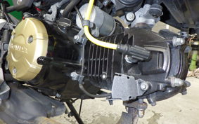 HONDA ｸﾞﾛﾑ JC75