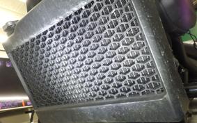 HONDA REBEL 250 S 2010 MC49