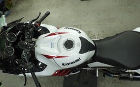 KAWASAKI ZX 1400 NINJA R A 2020
