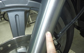 HARLEY FXST1750 2024
