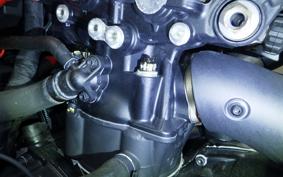 DUCATI SS950S 2022