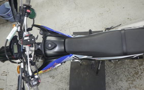 YAMAHA WR250X