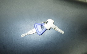 HONDA LITTLE CUB 2023 C50