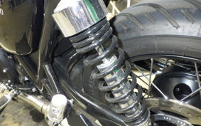 TRIUMPH BONNEVILLE T100 2024