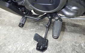 HARLEY RH975 2022