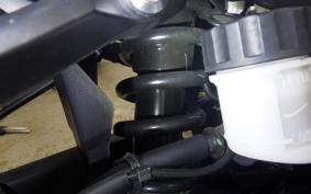 YAMAHA MT-25 A 2008 RG43J