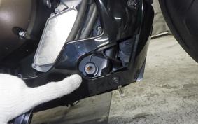 HARLEY RH1250S 2022