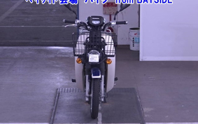 OTHER C110PU LOW 3