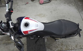 TRIUMPH TRIDENT 660 2024