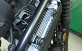HONDA CL250-2 2013 MC57