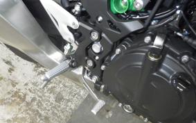 KAWASAKI Z250 Gen.2 2024 EX250Y
