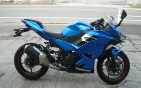 KAWASAKI NINJA 250 ABS EX250P