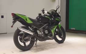 KAWASAKI NINJA150RR 2019