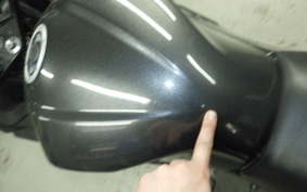 KAWASAKI NINJA 250 ABS EX250L