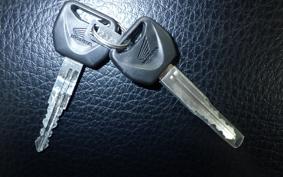 HONDA CRF250L 1985 MD47