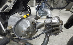 HONDA GORILLA 2024 Z50J