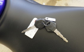 YAMAHA YZF-R25 RG43J