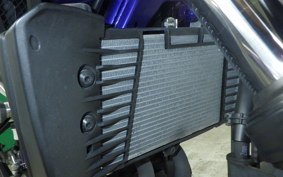 YAMAHA MT-25 2025 RG10J