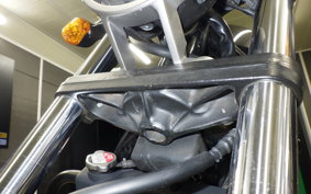 HONDA REBEL 250 2009 MC49