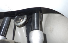 OTHER UNREGISTERED MODEL by BDS125 TRIKE 2008