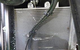 KAWASAKI ZX-4RR 2024 ZX400P