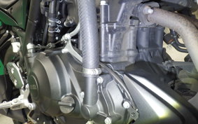 YAMAHA MT-25 A RG74J