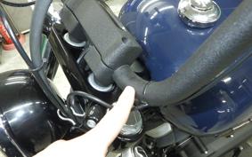 HARLEY FXBB1750 2019