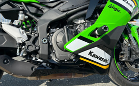 KAWASAKI NINJA ZX-4RR KRT ED 2024 ZX400P
