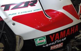 YAMAHA TZR250 R