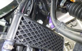 KAWASAKI W800 2020 EJ800B