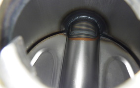 OTHER +UNREGISTERED MODEL by BDS1330 2009