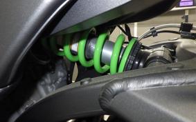 KAWASAKI ZX 10 NINJA R SE 2020 ZXT02E