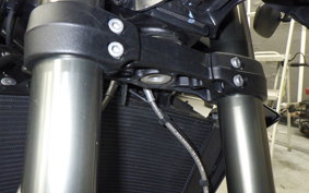 TRIUMPH STREET TRIPLE RS 2024