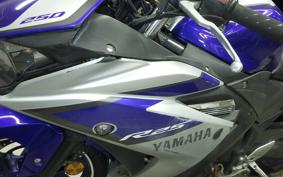 YAMAHA YZF-R25 RG10J