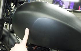 OTHER +UNREGISTERED MODEL by BDS250 2007