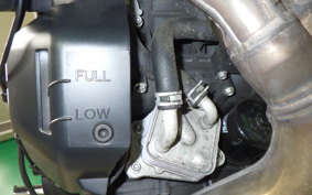 YAMAHA XSR900 GP 2024 RN96J