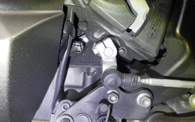 KAWASAKI NINJA 1000 A 2019 ZXT00W